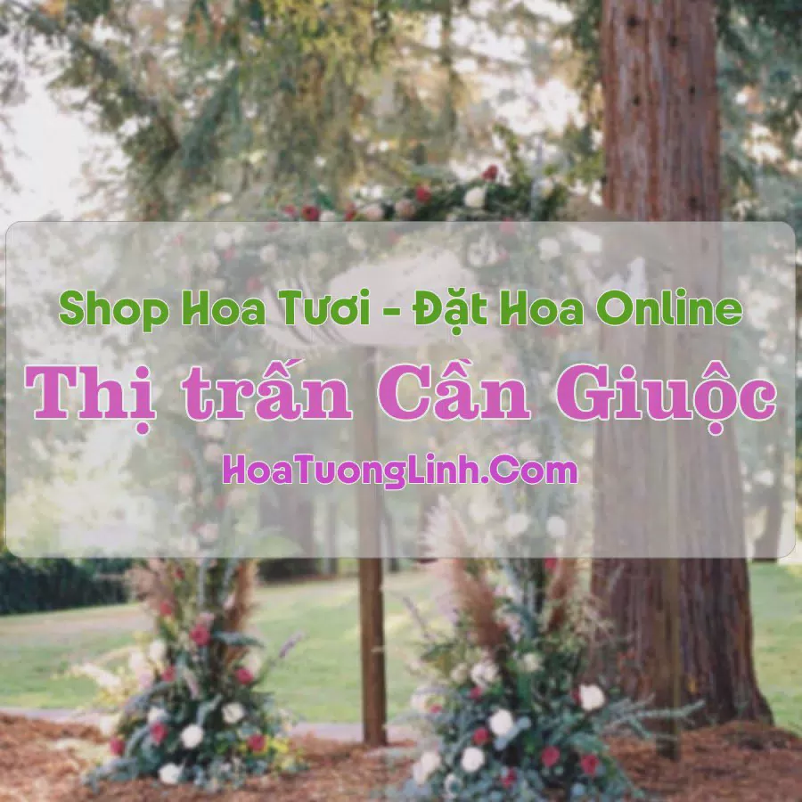 Shop Hoa Tươi Thị Trấn Cần Giuộc - Long An