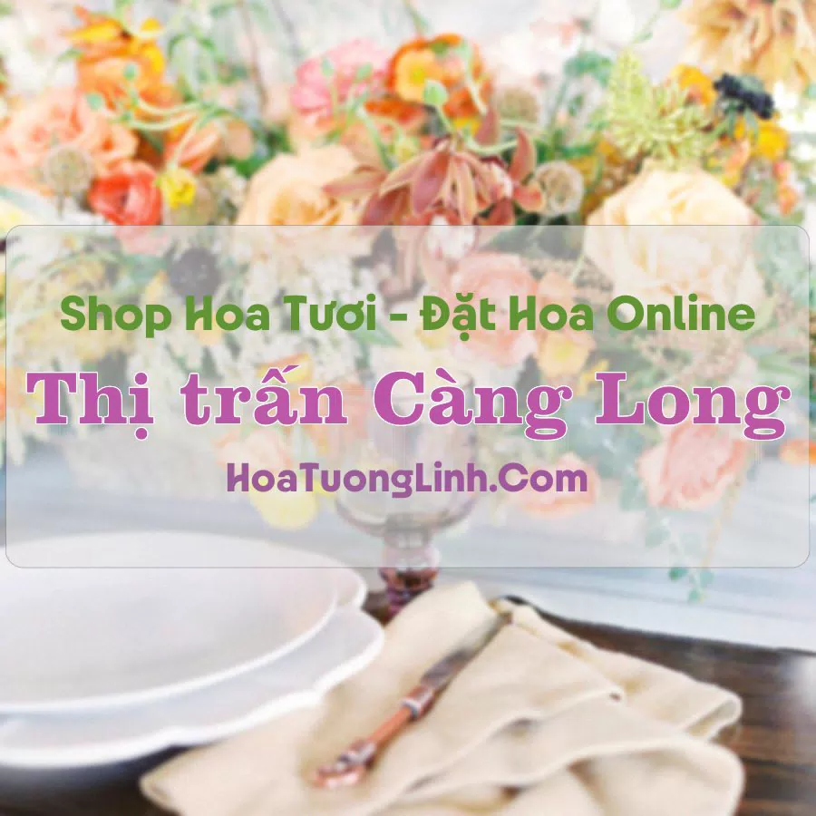 Shop Hoa Tươi Thị trấn Càng Long – Trà Vinh