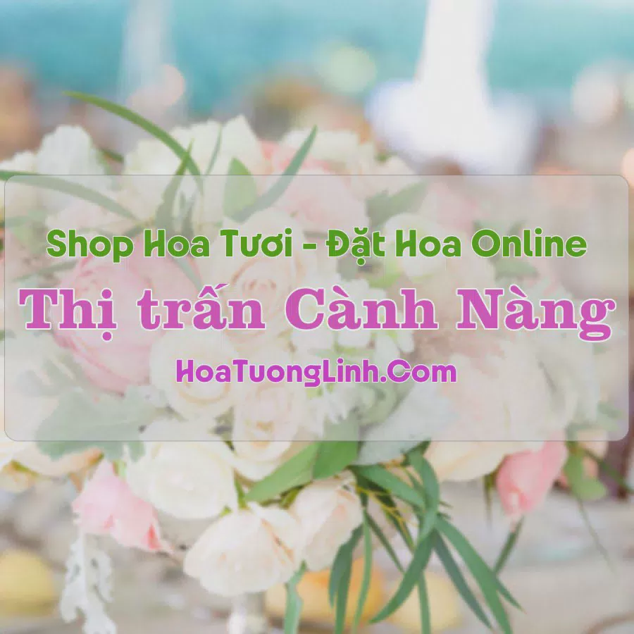 Shop Hoa Tươi Thị Trấn Cành Nàng - Thanh Hóa