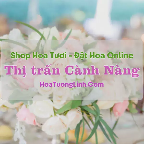 Shop Hoa Tươi Thị Trấn Cành Nàng - Thanh Hóa