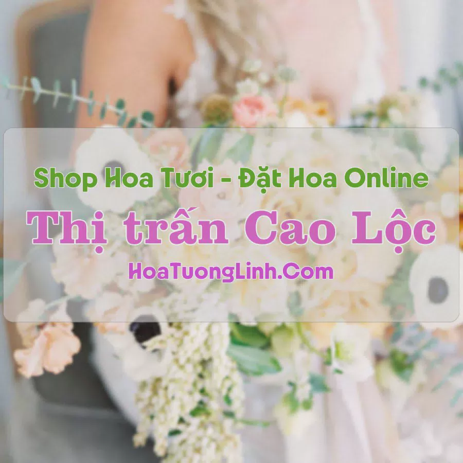 Shop Hoa Tươi Thị Trấn Cao Lộc - Lạng Sơn
