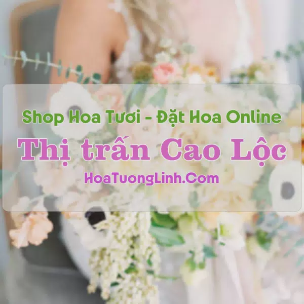 Shop Hoa Tươi Thị Trấn Cao Lộc - Lạng Sơn