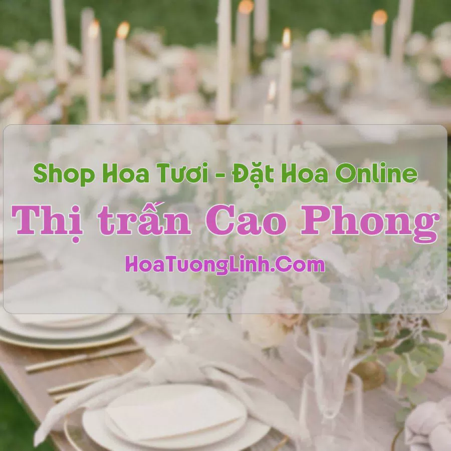 Shop Hoa Tươi Thị Trấn Cao Phong - Hòa Bình