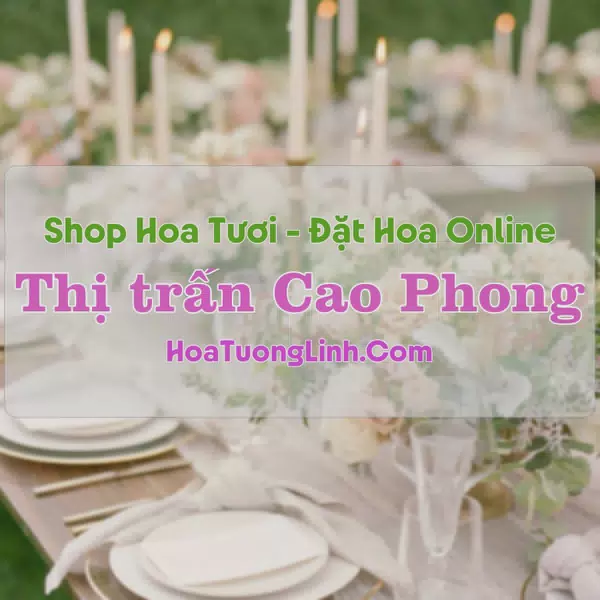 Shop Hoa Tươi Thị Trấn Cao Phong - Hòa Bình