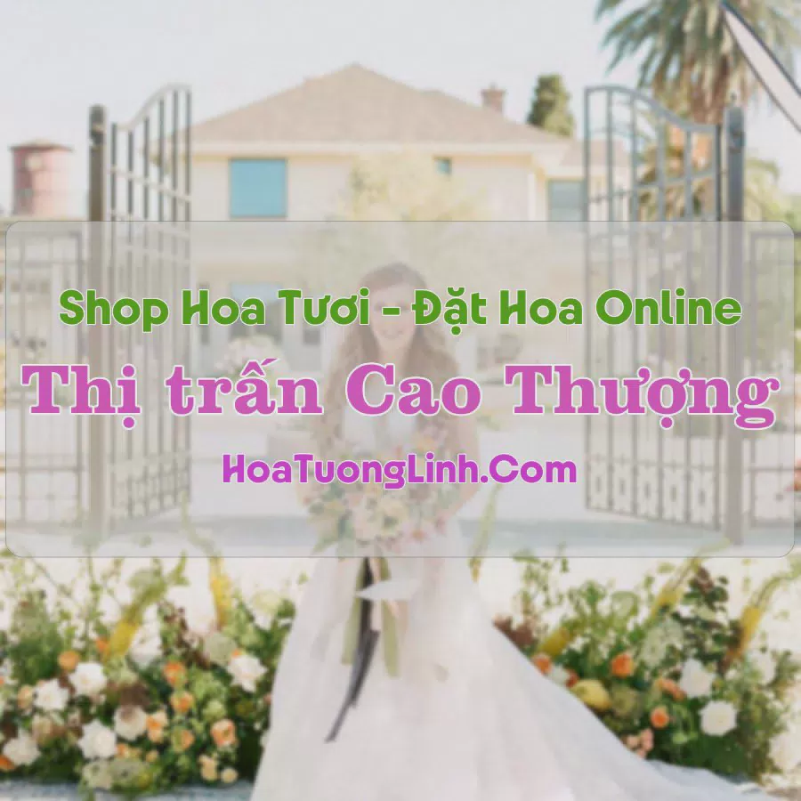 Shop Hoa Tươi Thị Trấn Cao Thượng - Bắc Giang