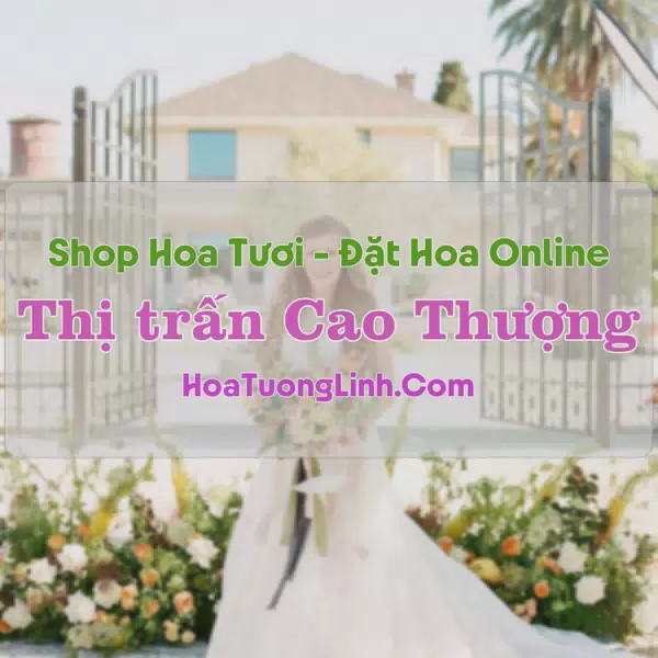 Shop Hoa Tươi Thị Trấn Cao Thượng - Bắc Giang