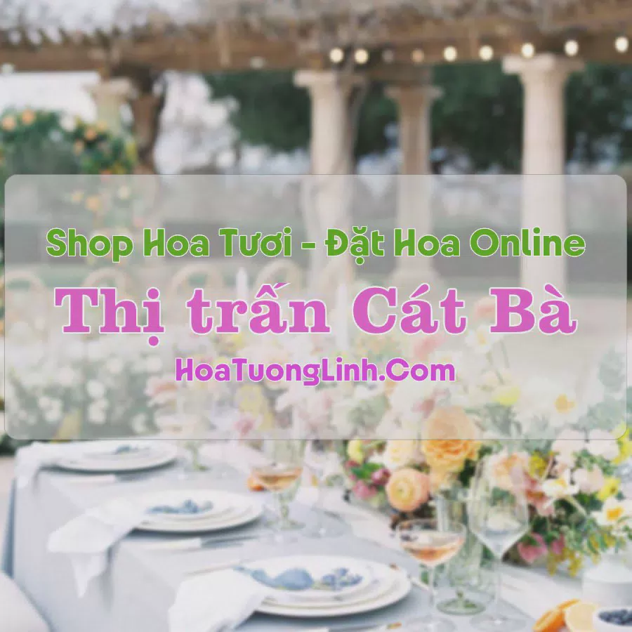 Shop Hoa Tươi Thị Trấn Cát Bà - Hải Phòng