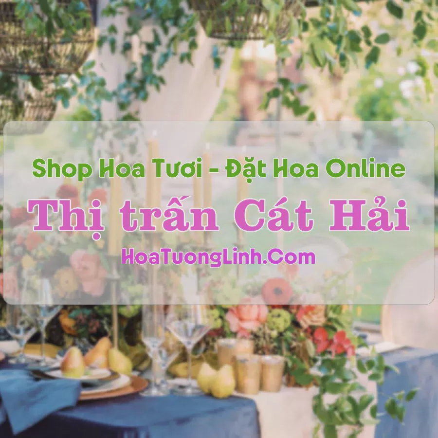 Shop Hoa Tươi Thị Trấn Cát Hải - Hải Phòng