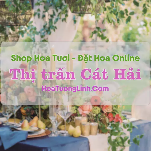 Shop Hoa Tươi Thị Trấn Cát Hải - Hải Phòng