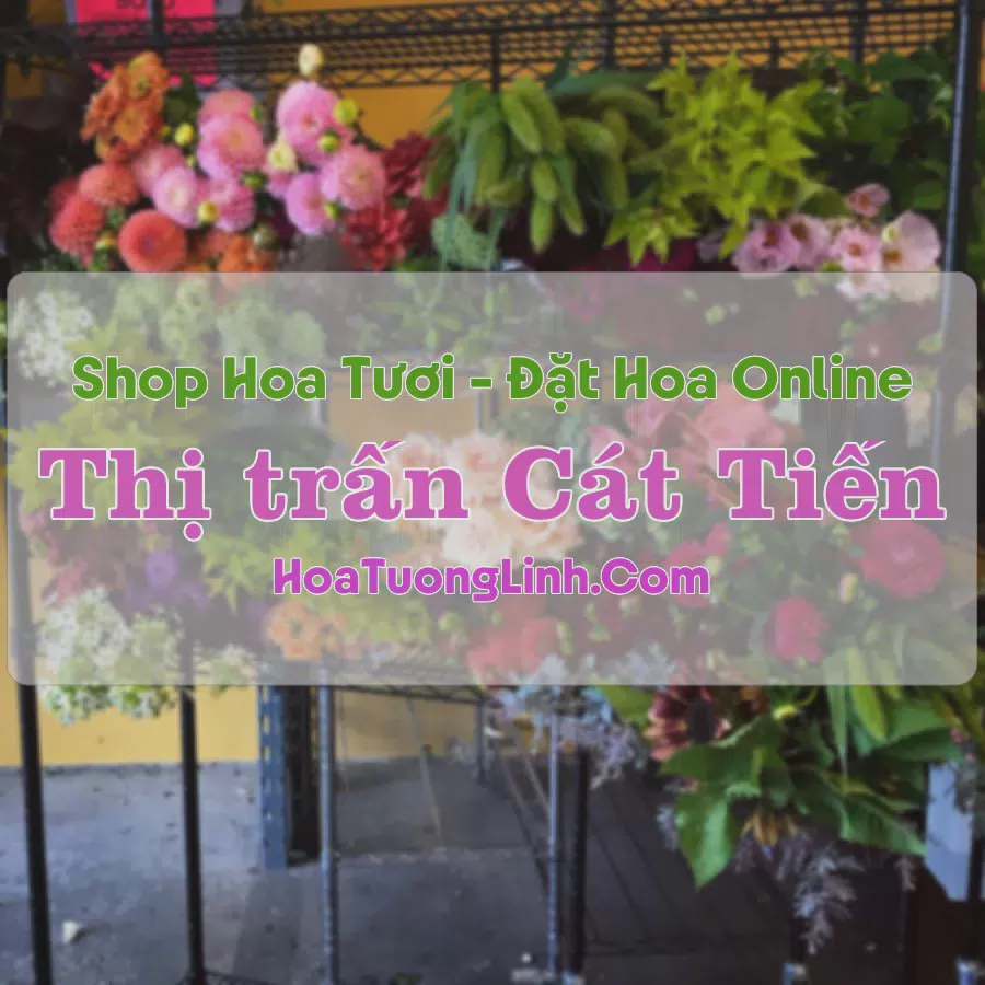 Shop Hoa Tươi Thị trấn Cát Tiến - Bình Định