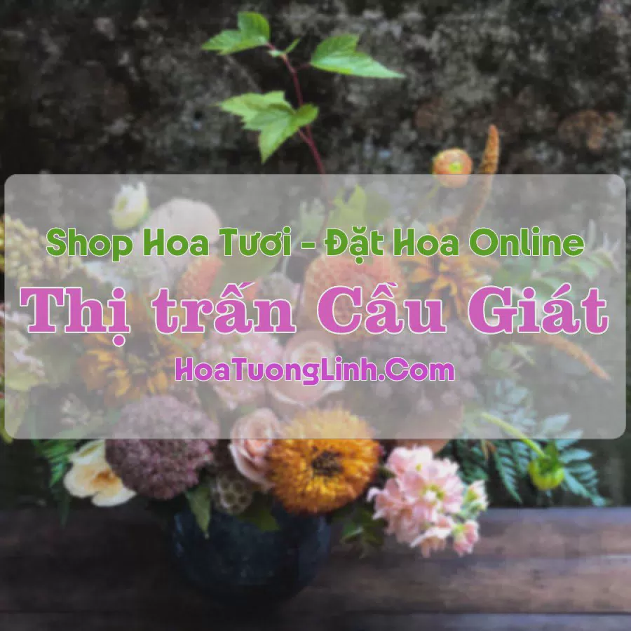 Shop Hoa Tươi Thị trấn Cầu Giát - Nghệ An