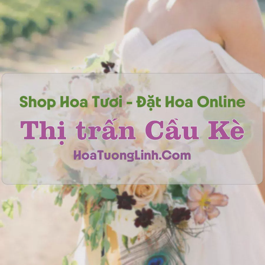 Shop Hoa Tươi Thị trấn Cầu Kè - Trà Vinh