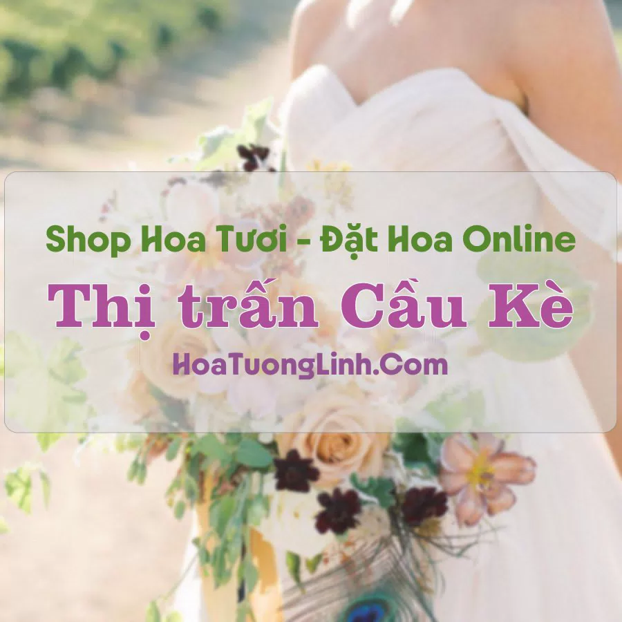 Shop Hoa Tươi Thị trấn Cầu Kè – Trà Vinh