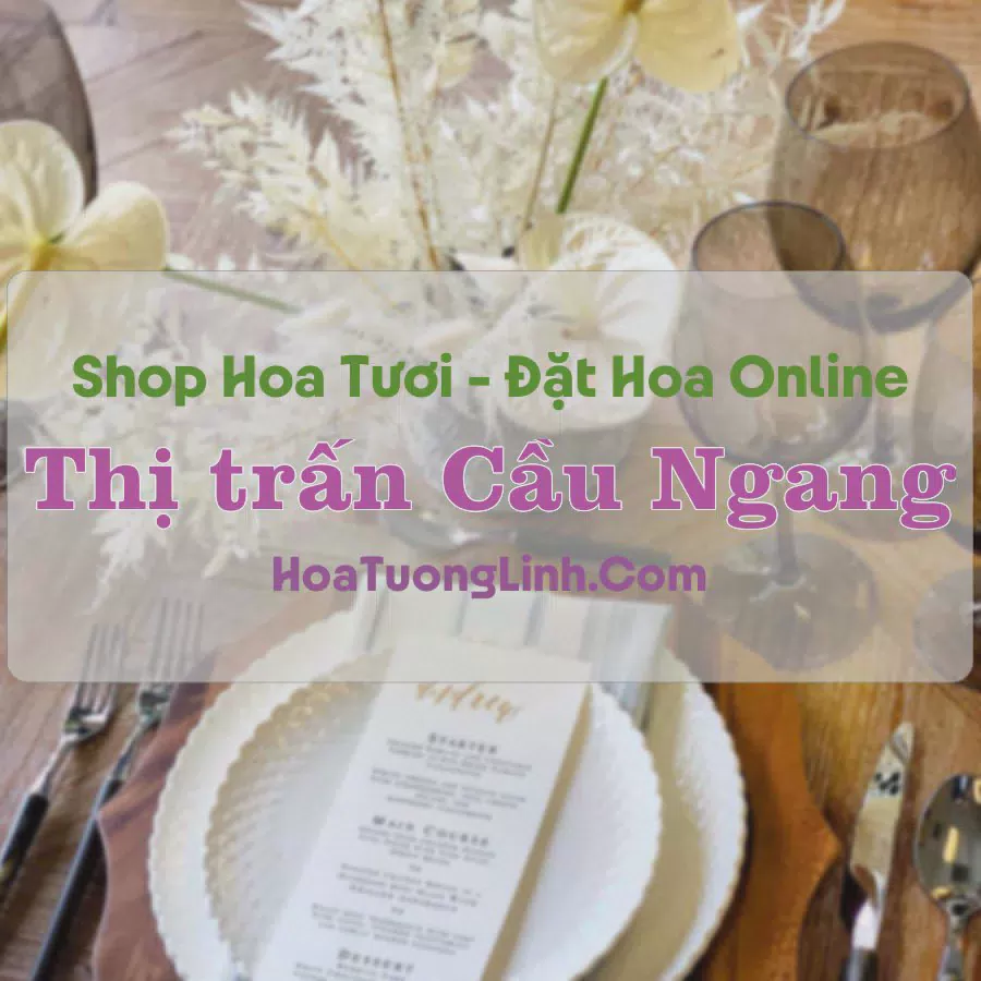 Shop Hoa Tươi Thị trấn Cầu Ngang - Trà Vinh