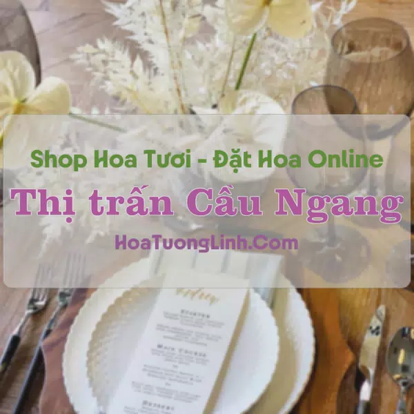 Shop Hoa Tươi Thị trấn Cầu Ngang - Trà Vinh