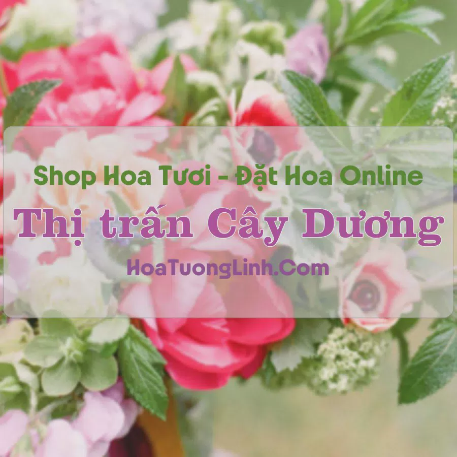 Shop Hoa Tươi Thị trấn Cây Dương - Hậu Giang