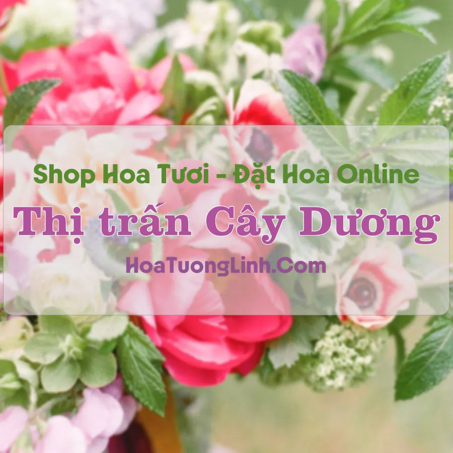 Shop Hoa Tươi Thị trấn Cây Dương – Hậu Giang