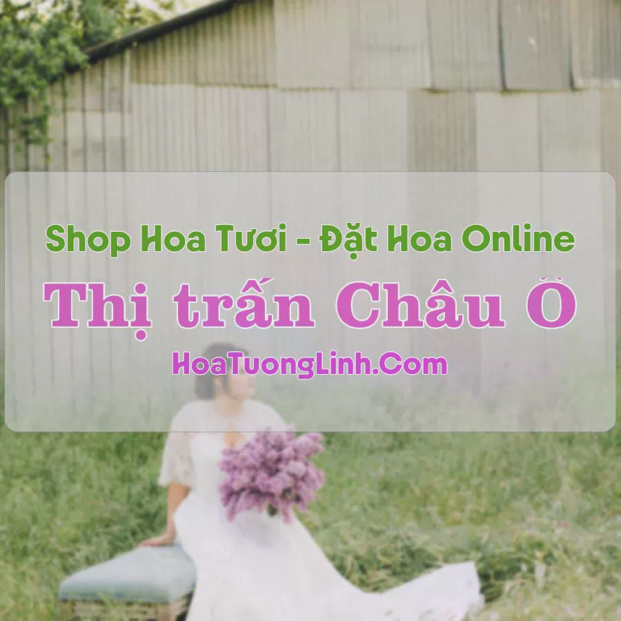 Shop Hoa Tươi Thị trấn Châu Ổ - Quảng Ngãi