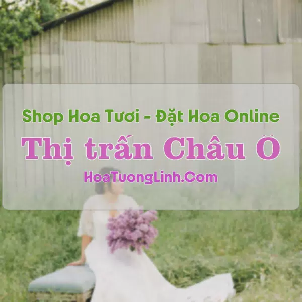 Shop Hoa Tươi Thị trấn Châu Ổ - Quảng Ngãi