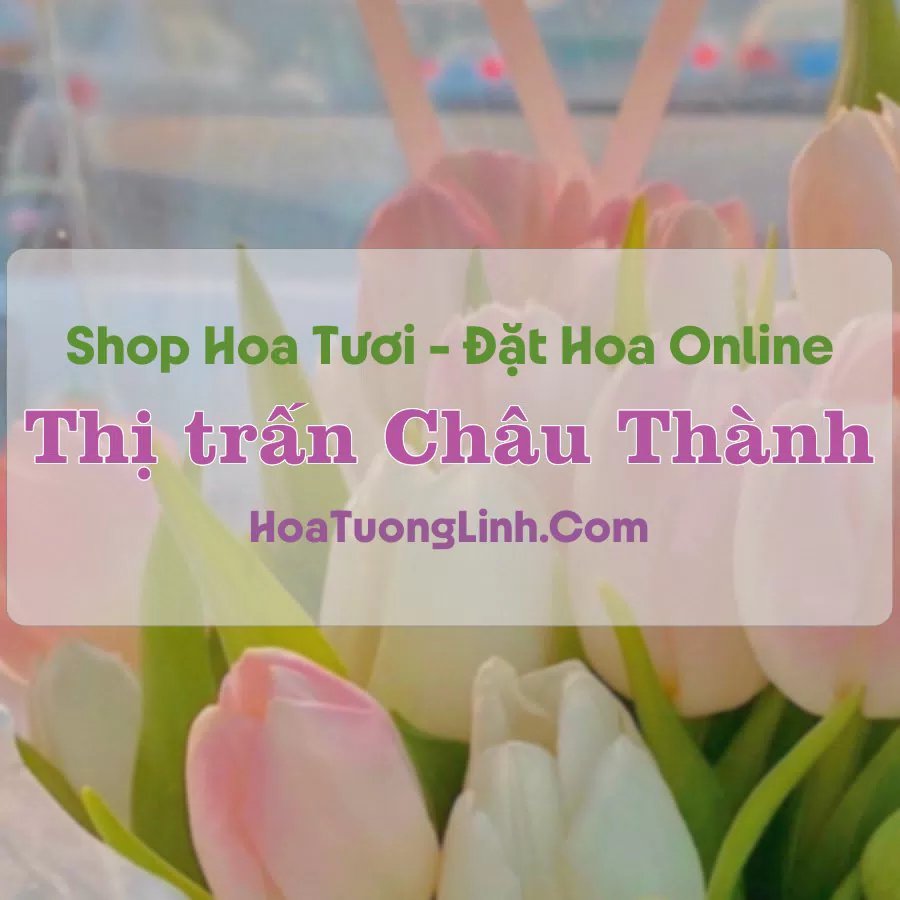 Shop Hoa Tươi Thị trấn Châu Thành – Tây Ninh