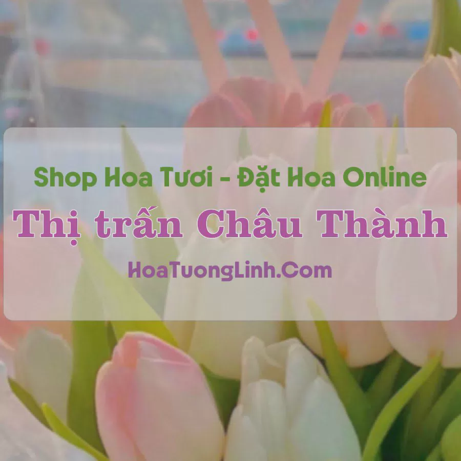 Shop Hoa Tươi Thị trấn Châu Thành - Tây Ninh