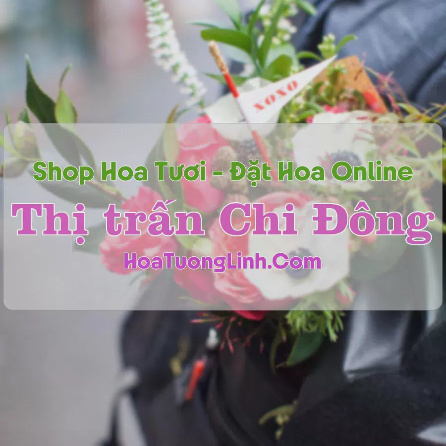 Shop Hoa Tươi Thị Trấn Chi Đông - Hà Nội
