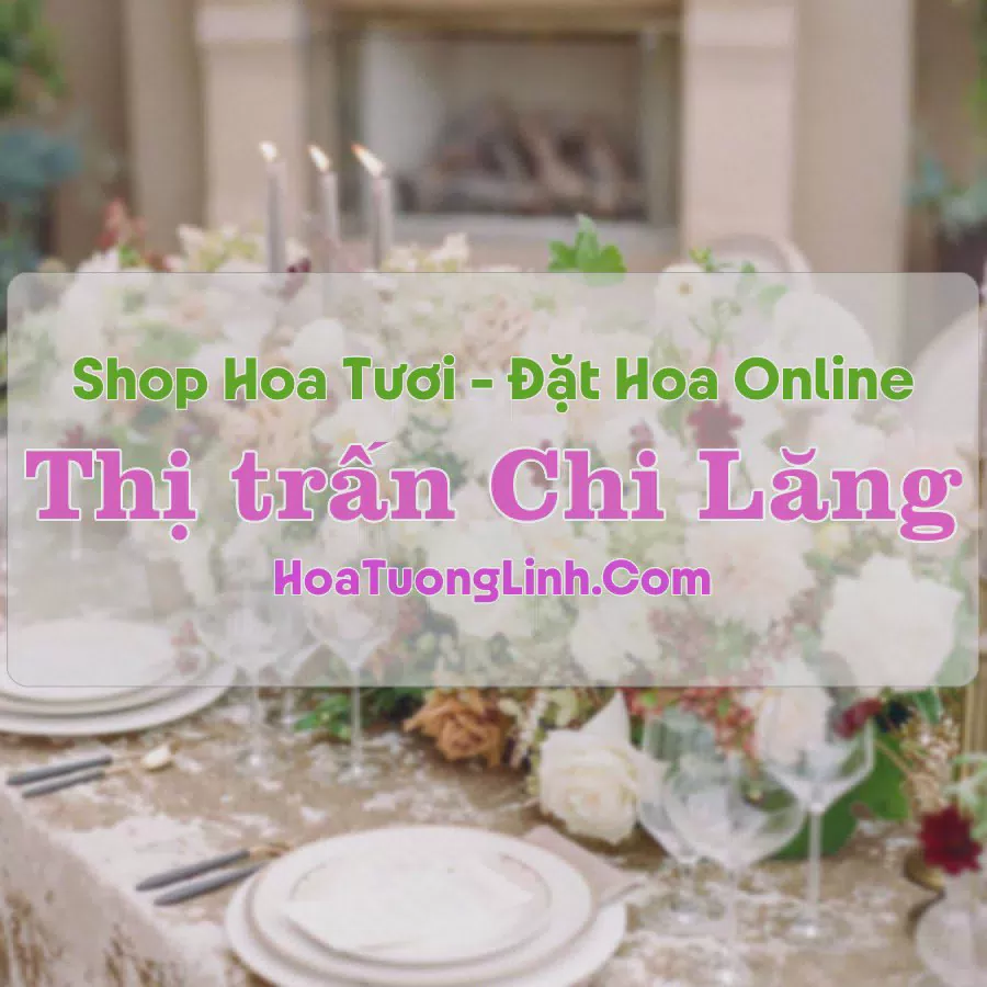 Shop Hoa Tươi Thị Trấn Chi Lăng - Lạng Sơn