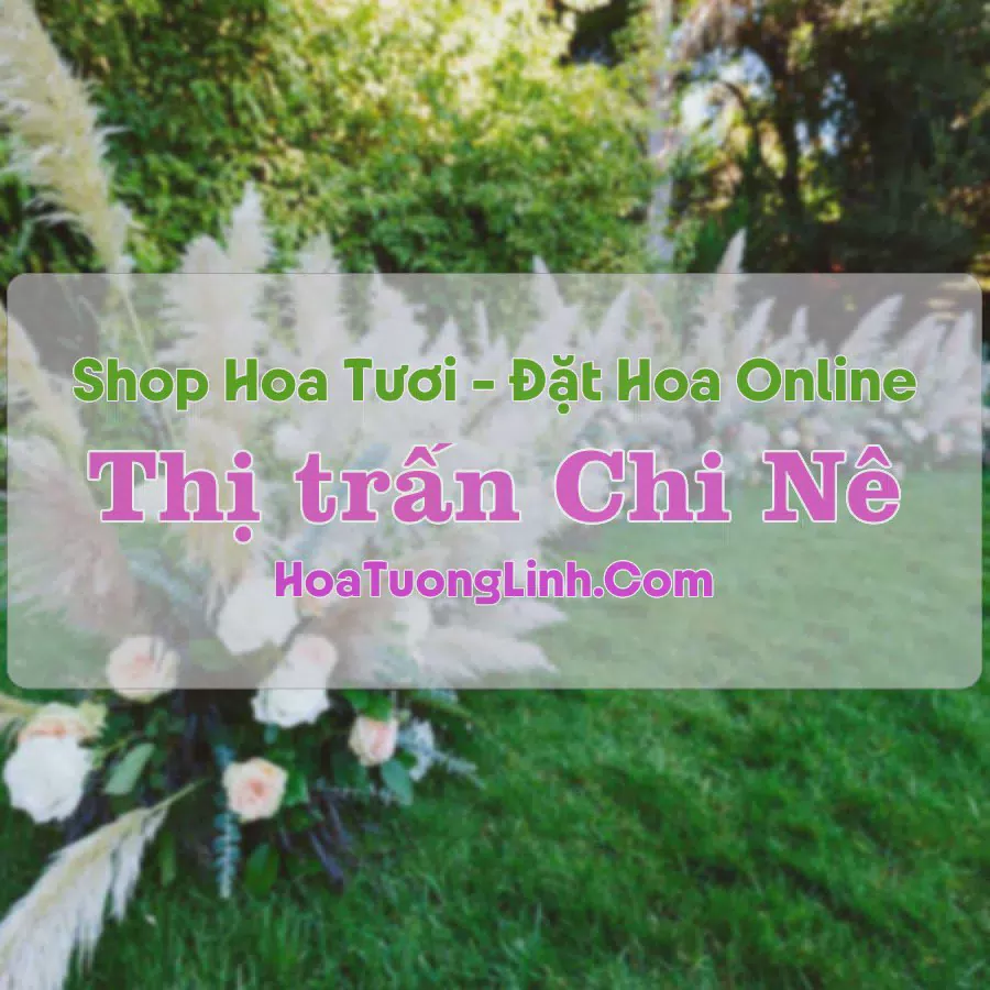 Shop Hoa Tươi Thị Trấn Chi Nê - Hòa Bình