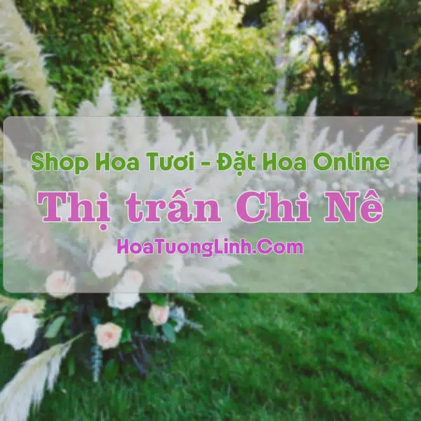 Shop Hoa Tươi Thị Trấn Chi Nê - Hòa Bình