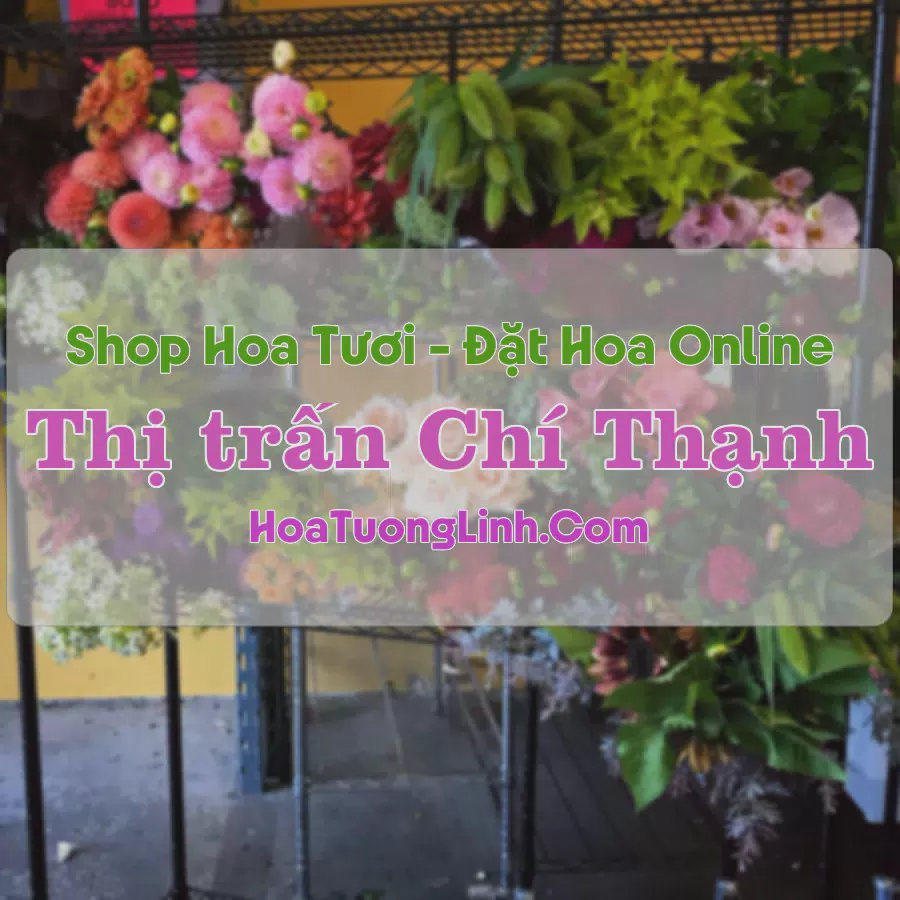 Shop Hoa Tươi Thị trấn Chí Thạnh - Phú Yên