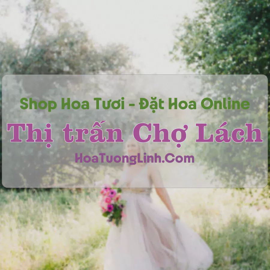 Shop Hoa Tươi Thị trấn Chợ Lách - Bến Tre