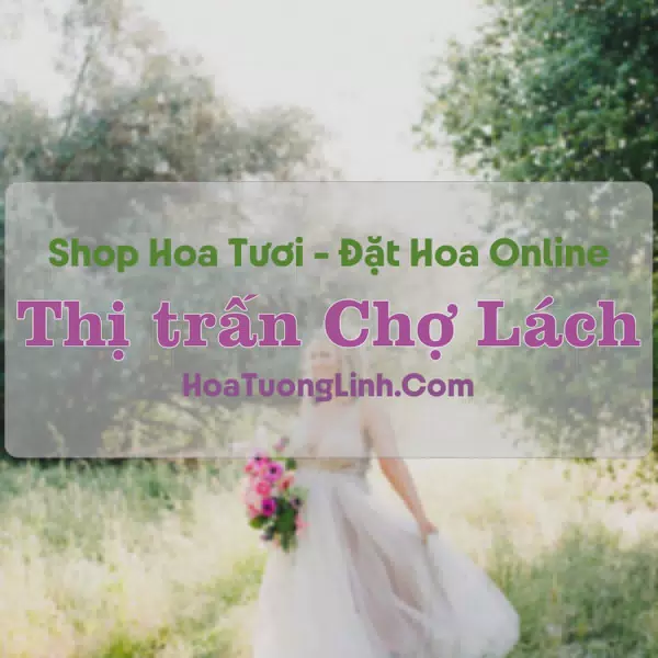 Shop Hoa Tươi Thị trấn Chợ Lách - Bến Tre