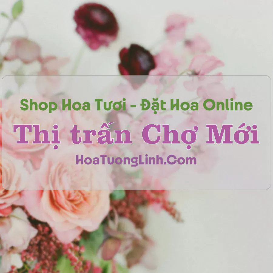 Shop Hoa Tươi Thị trấn Chợ Mới - An Giang