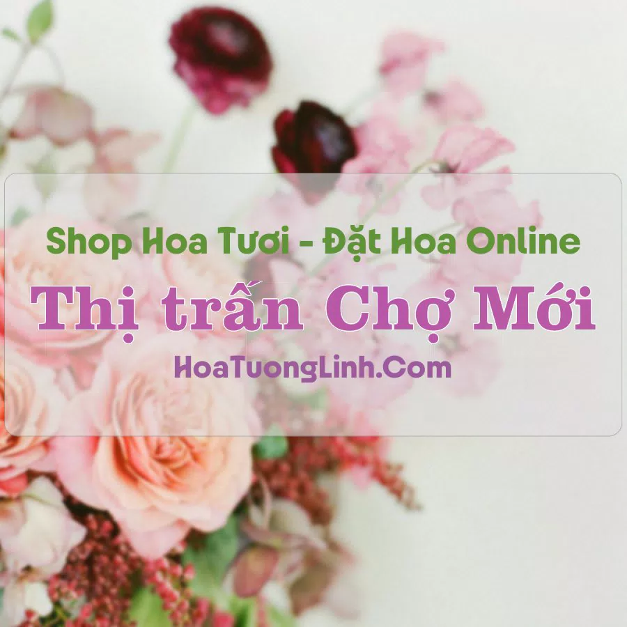 Shop Hoa Tươi Thị trấn Chợ Mới – An Giang