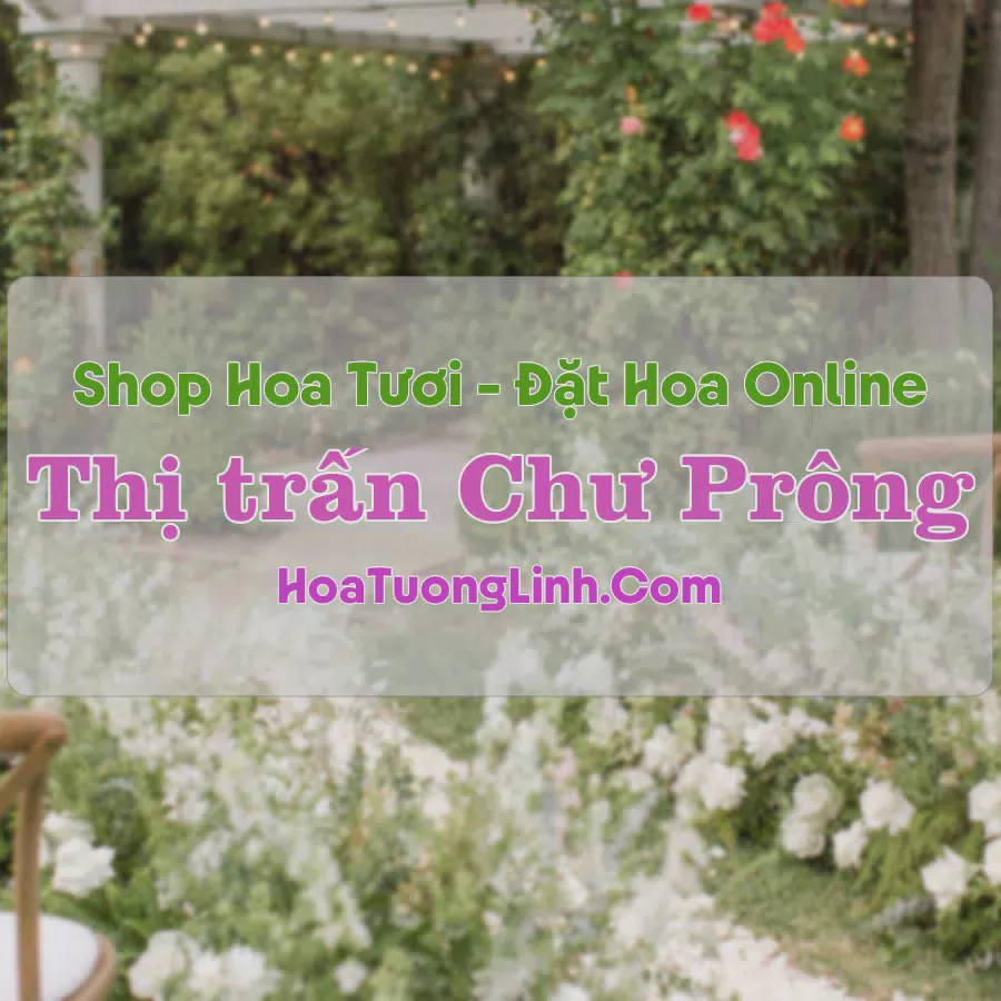 Shop Hoa Tươi Thị trấn Chư Prông - Gia Lai