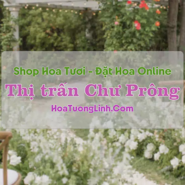Shop Hoa Tươi Thị trấn Chư Prông - Gia Lai