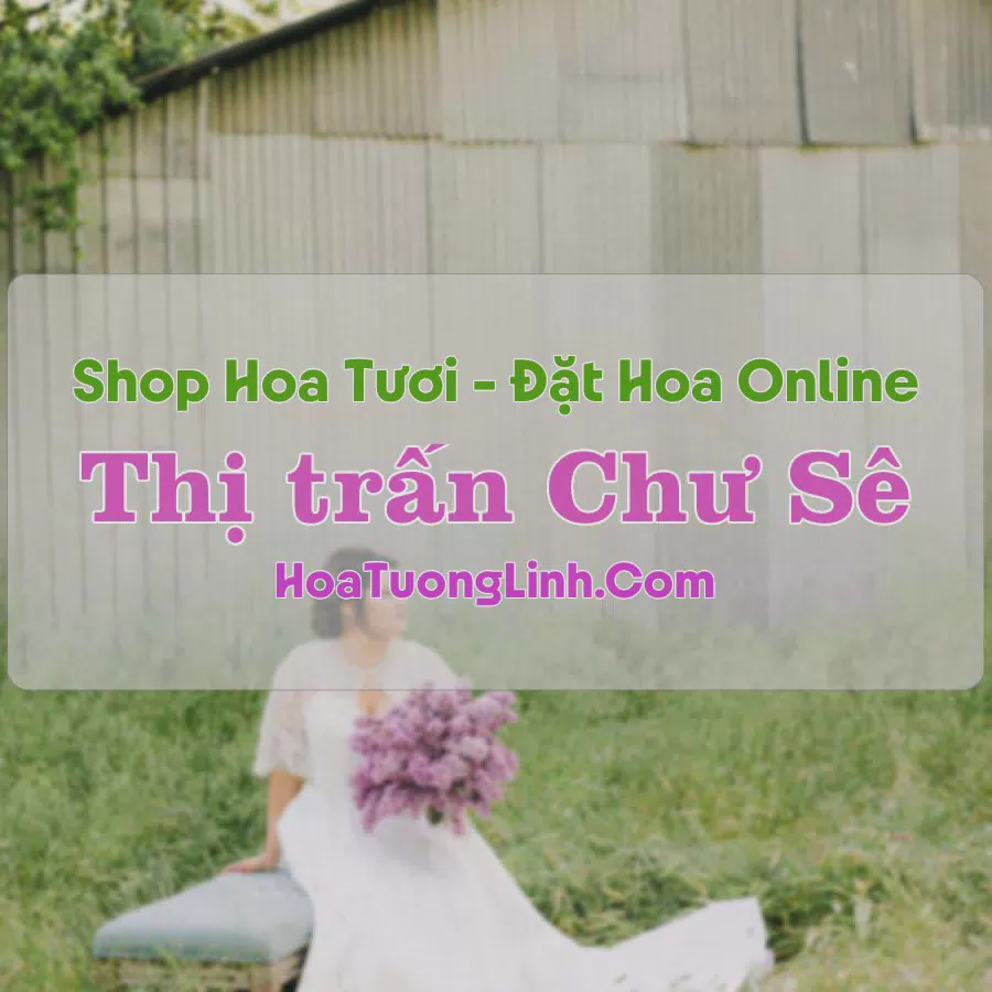Shop Hoa Tươi Thị trấn Chư Sê - Gia Lai