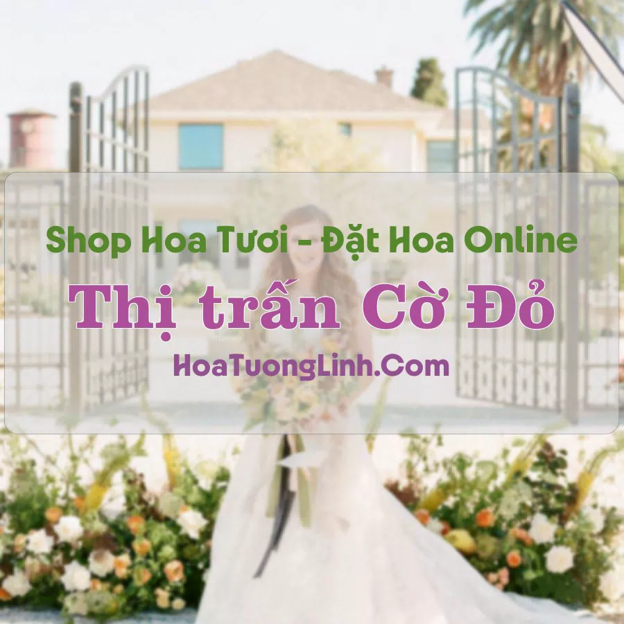 Shop Hoa Tươi Thị trấn Cờ Đỏ – Cần Thơ