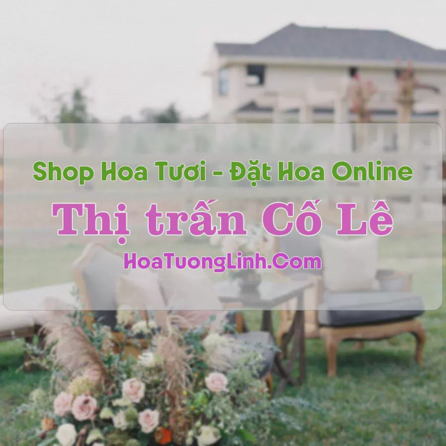 Shop Hoa Tươi Thị Trấn Cổ Lễ - Nam Định
