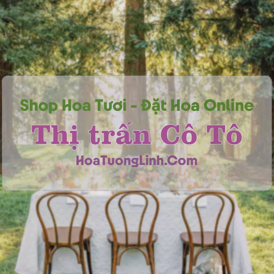 Shop Hoa Tươi Thị trấn Cô Tô - An Giang