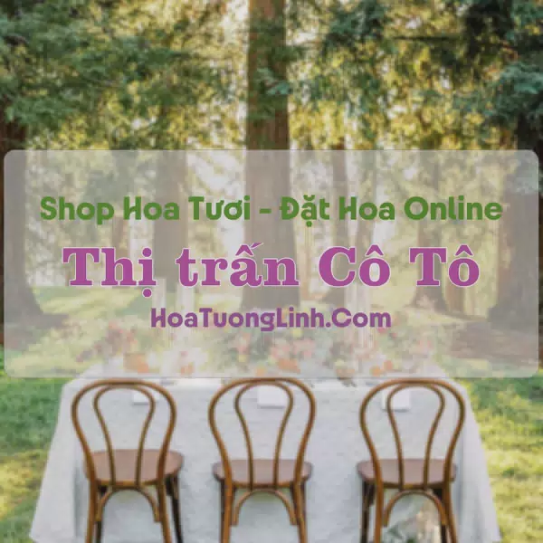 Shop Hoa Tươi Thị trấn Cô Tô - An Giang