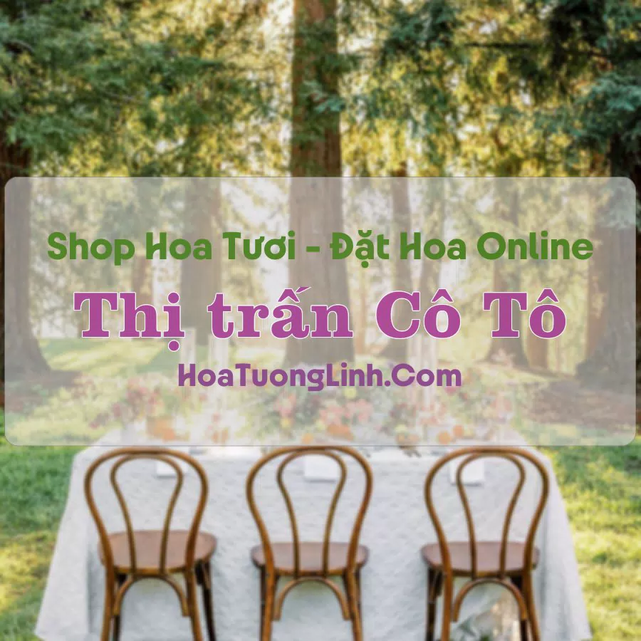 Shop Hoa Tươi Thị trấn Cô Tô – An Giang