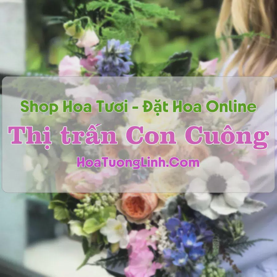 Shop Hoa Tươi Thị Trấn Con Cuông - Nghệ An