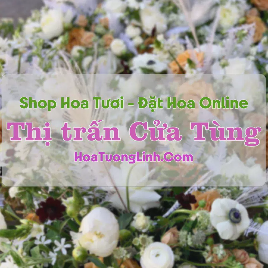 Shop Hoa Tươi Thị trấn Cửa Tùng - Quảng Trị