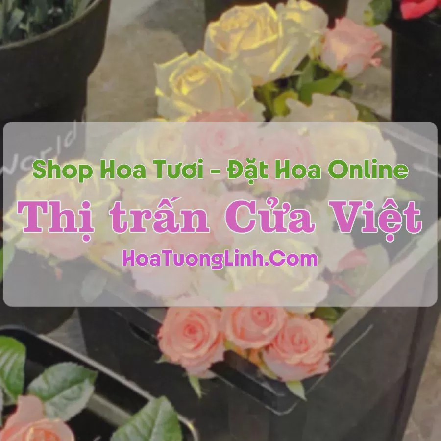 Shop Hoa Tươi Thị Trấn Cửa Việt - Quảng Trị