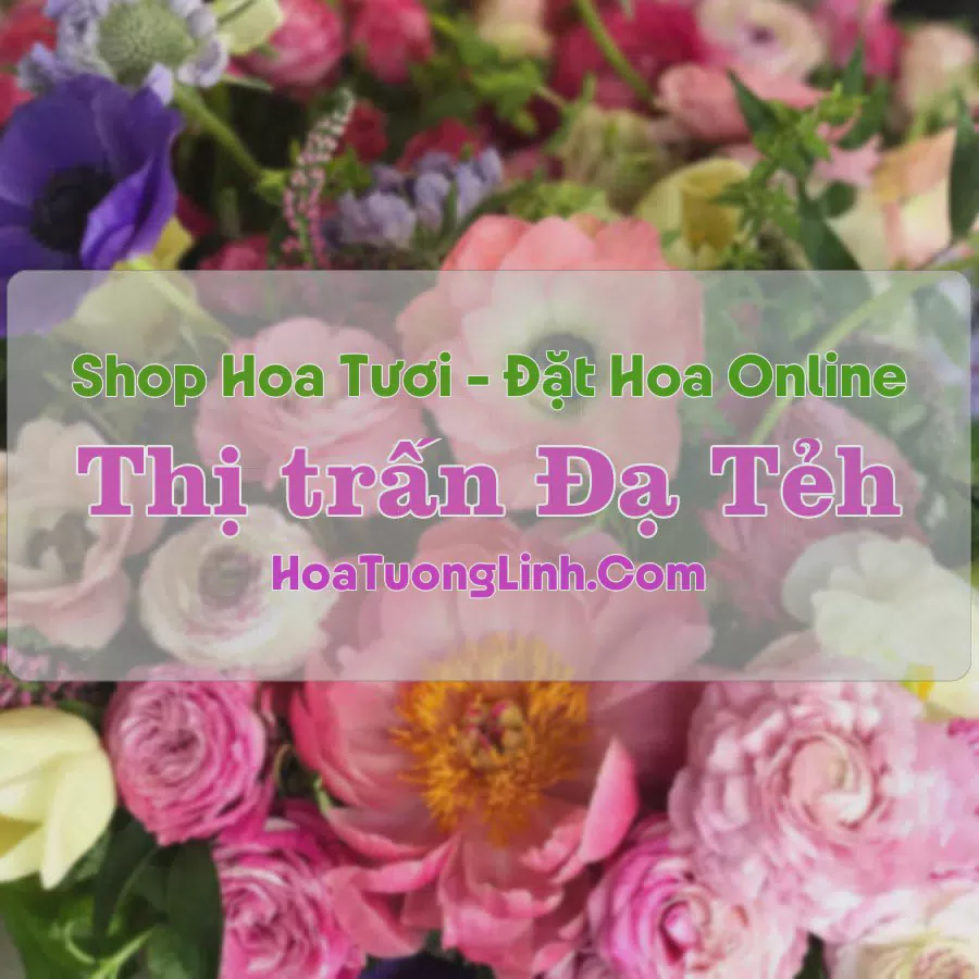 Shop Hoa Tươi TT Đạ Tẻh - Lâm Đồng