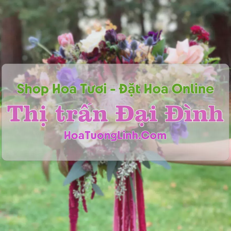 Shop Hoa Tươi Thị Trấn Đại Đình - Vĩnh Phúc