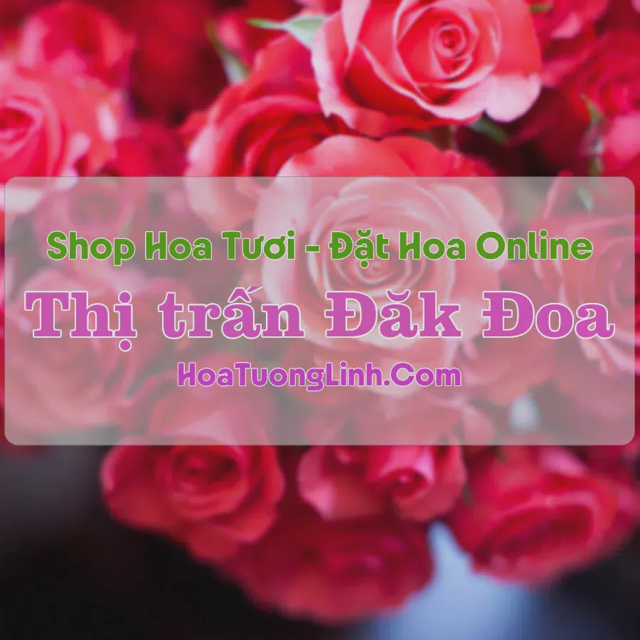 Shop Hoa Tươi Thị Trấn Đăk Đoa - Gia Lai