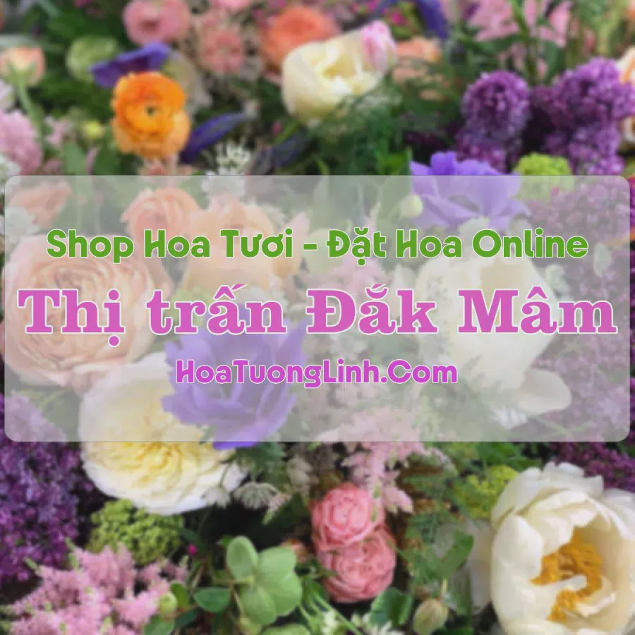 Shop Hoa Tươi Thị Trấn Đắk Mâm - Đắk Nông