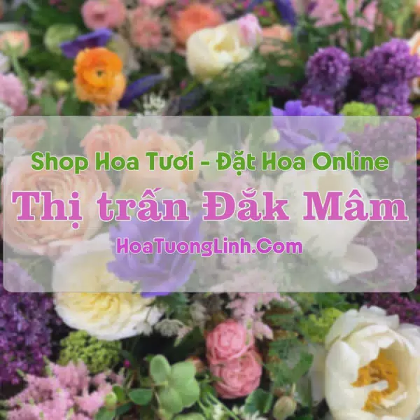 Shop Hoa Tươi Thị Trấn Đắk Mâm - Đắk Nông